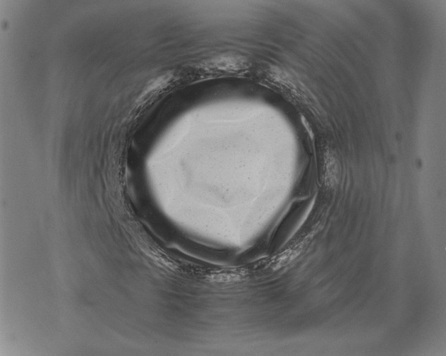 X0000071811297200607211701