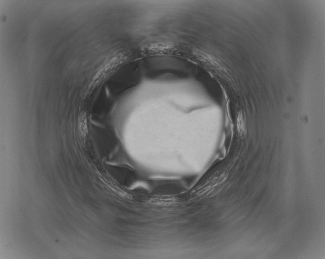 X0000071811299200607211701