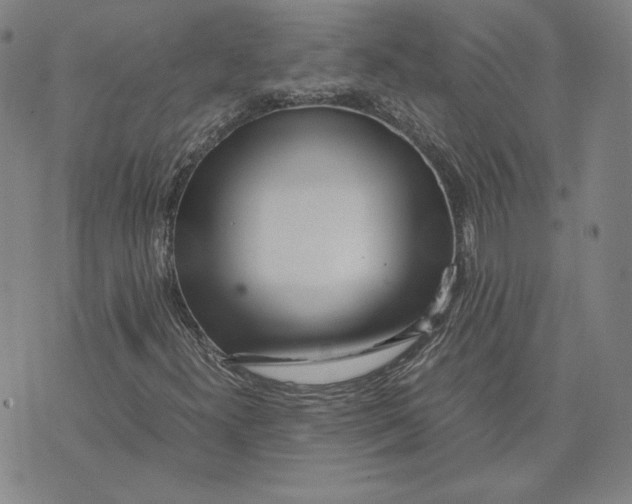 X0000071811300200607211702