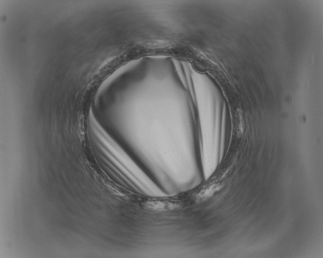 X0000071811301200607211702