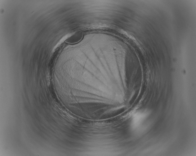 X0000071811306200607211702