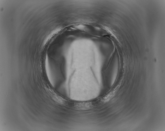 X0000071811307200607211702