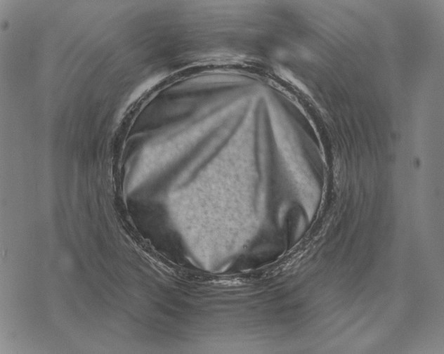X0000071811315200607211702