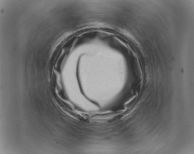 X0000071811318200607211702