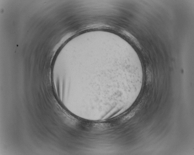 X0000071811322200607211702