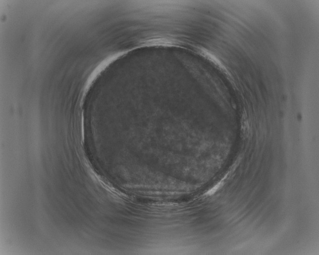 X0000071811323200607211702