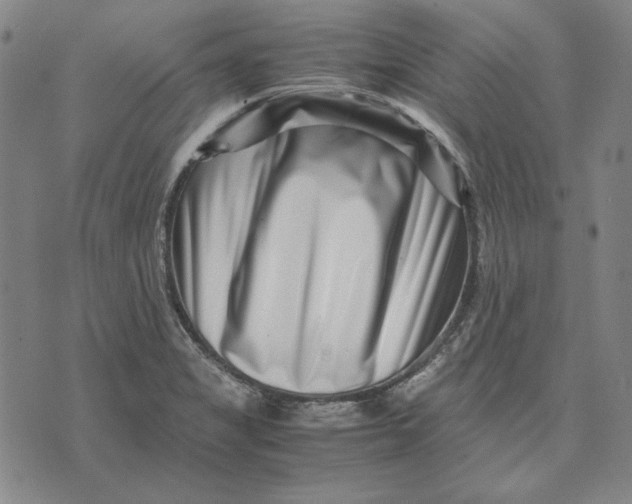 X0000071811325200607211702