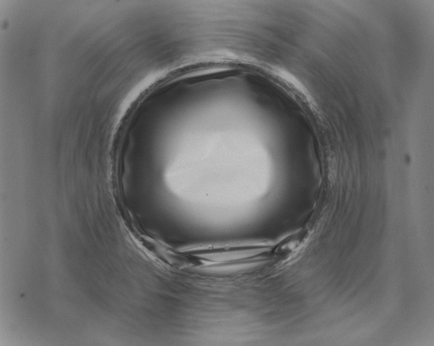 X0000071811326200607211702