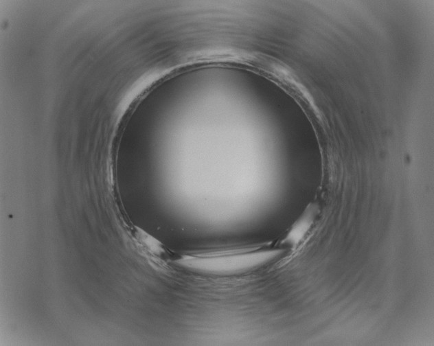 X0000071811328200607211702