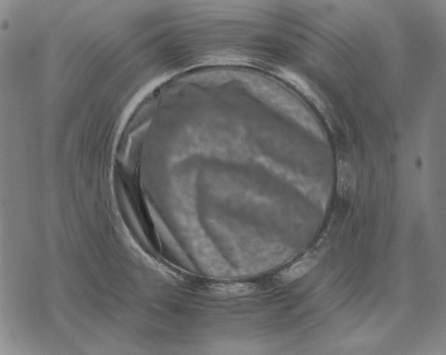 X0000071811331200607211702