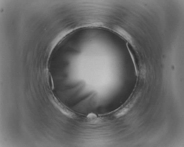 X0000071811332200607211702