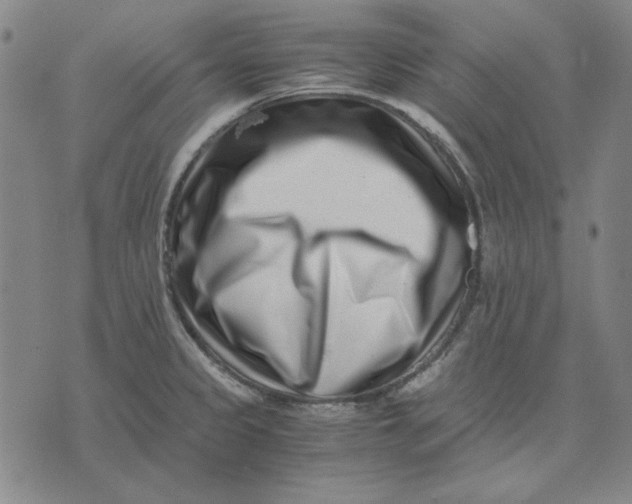 X0000071811333200607211702