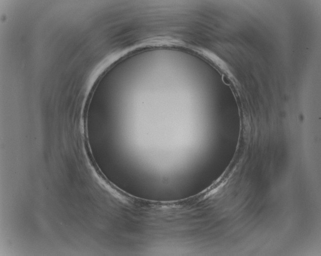 X0000071811335200607211702