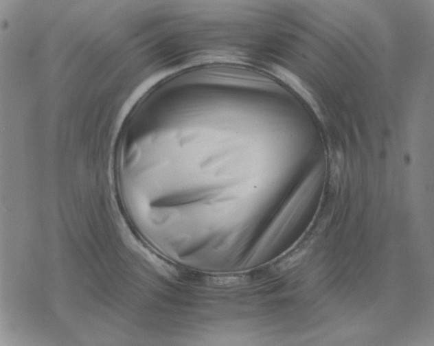X0000071811339200607211702