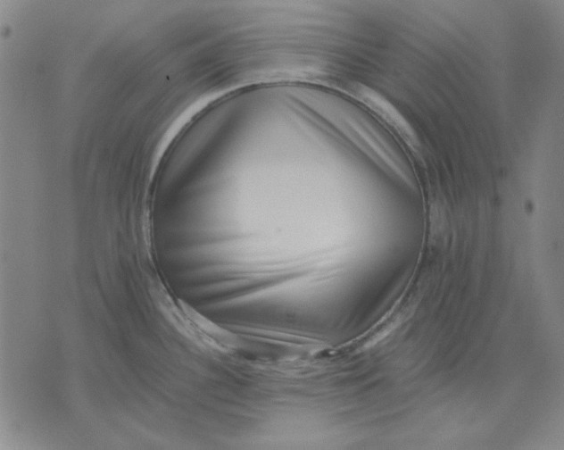 X0000071811340200607211702
