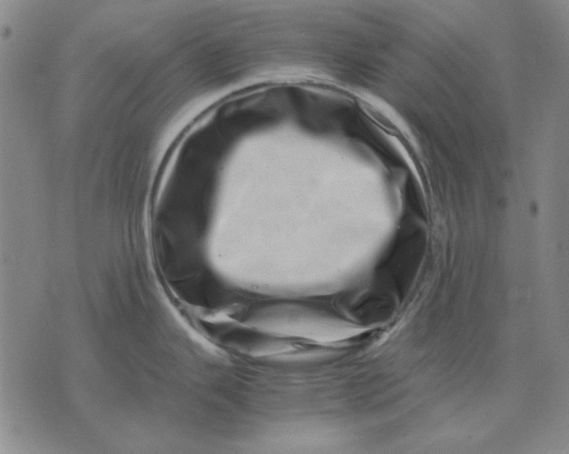 X0000071811343200607211702