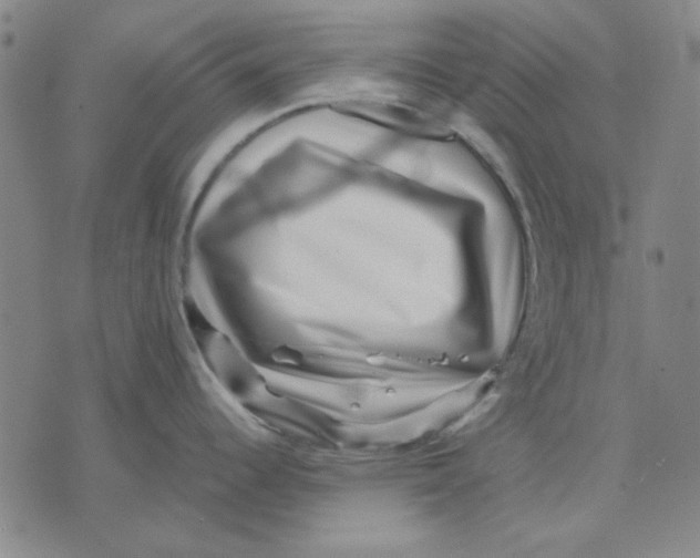 X0000071811344200607211702