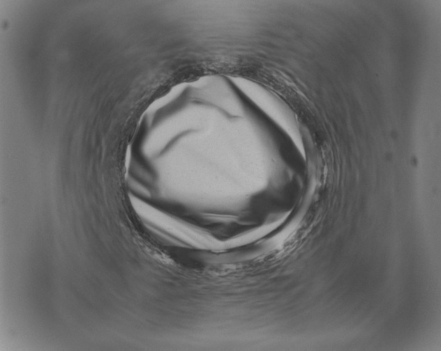 X0000071811345200607211701