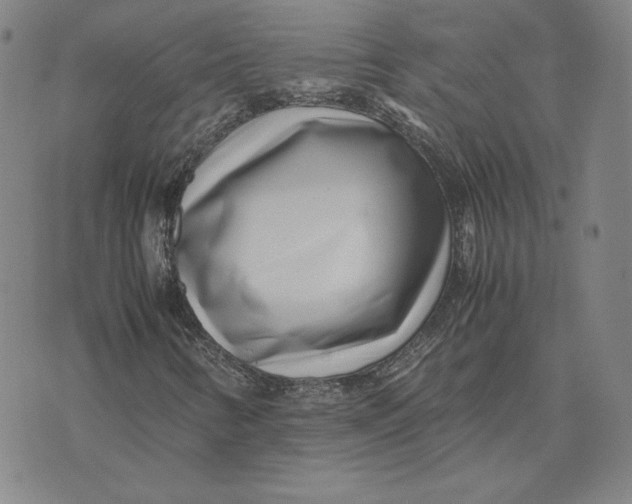 X0000071811346200607211701