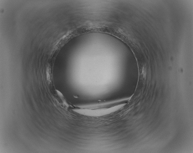 X0000071811348200607211701
