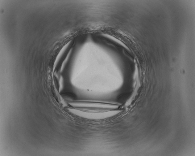 X0000071811349200607211701