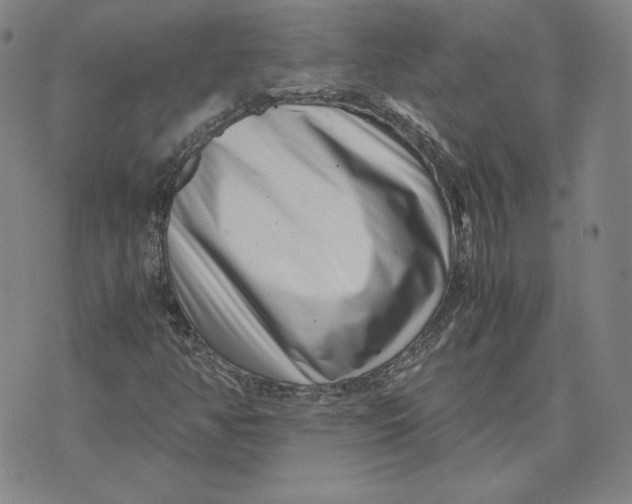 X0000071811350200607211701