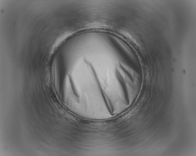 X0000071811358200607211701