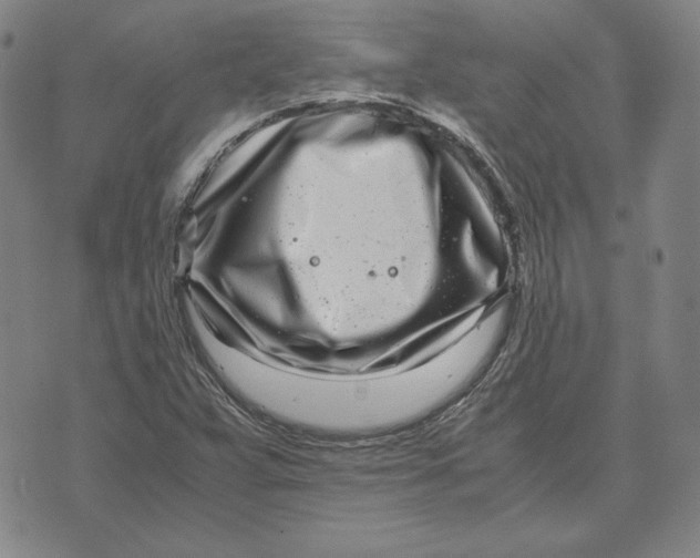 X0000071811359200607211701