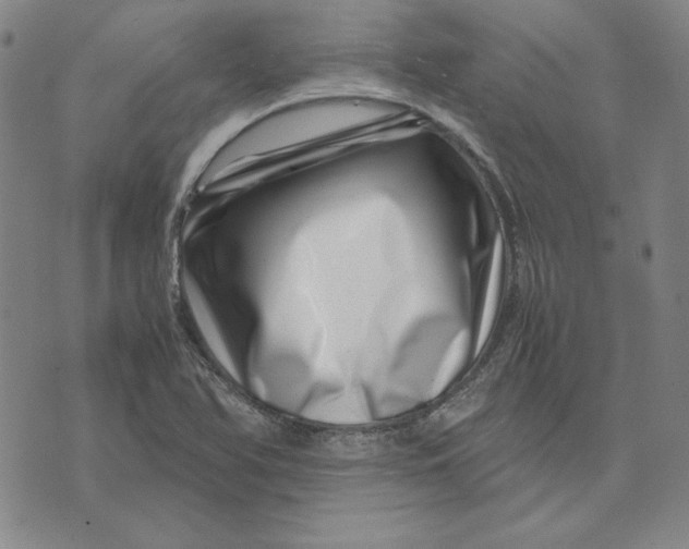 X0000071811366200607211701