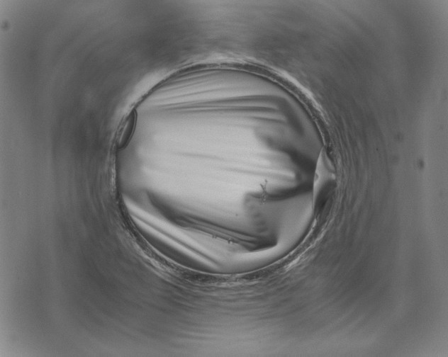 X0000071811367200607211701