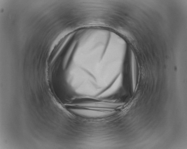 X0000071811374200607211701