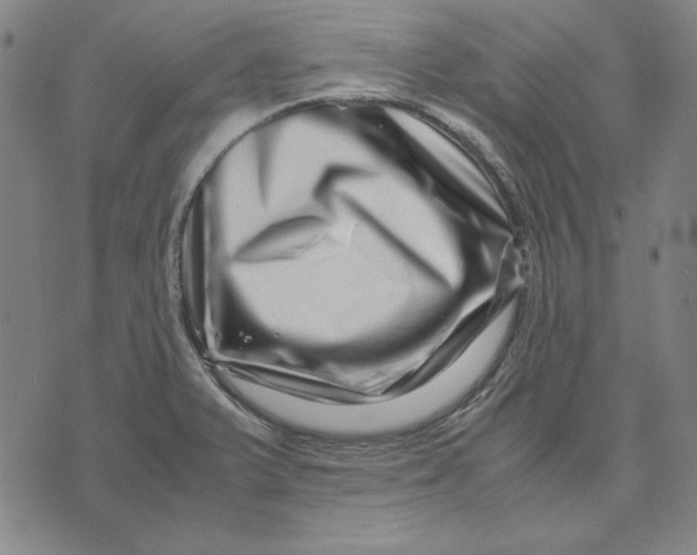 X0000071811375200607211701