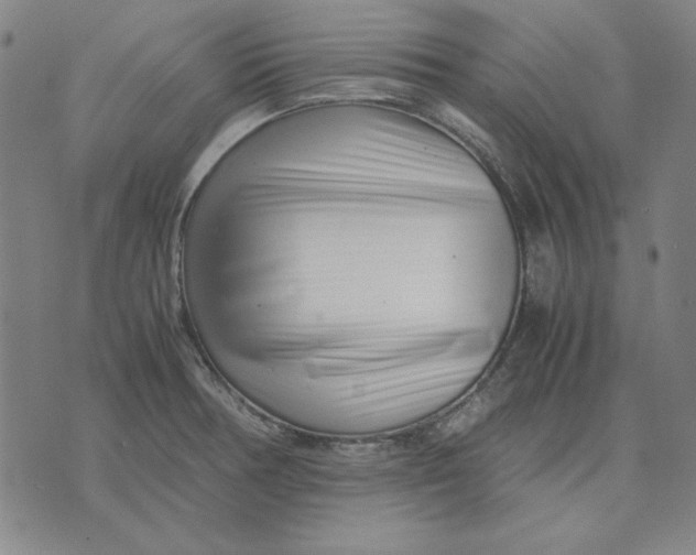 X0000071811378200607211701