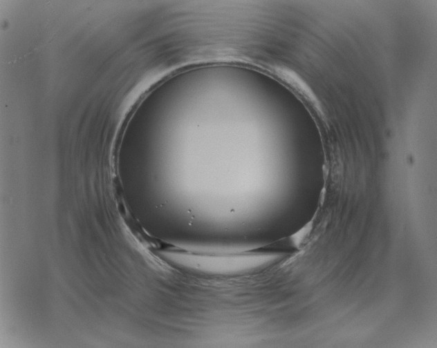 X0000071811380200607211701