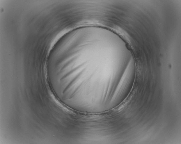 X0000071811382200607211701