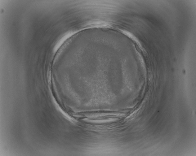 X0000071811383200607211701