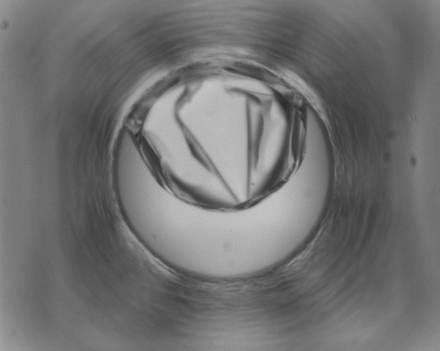 X0000071811384200607211701