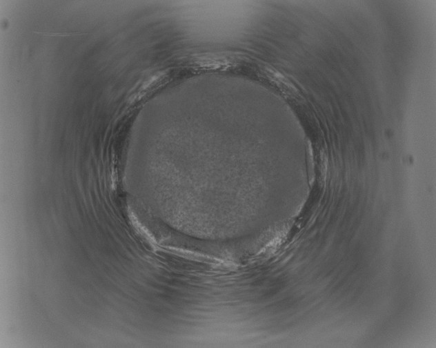 X0000071811394200607211700
