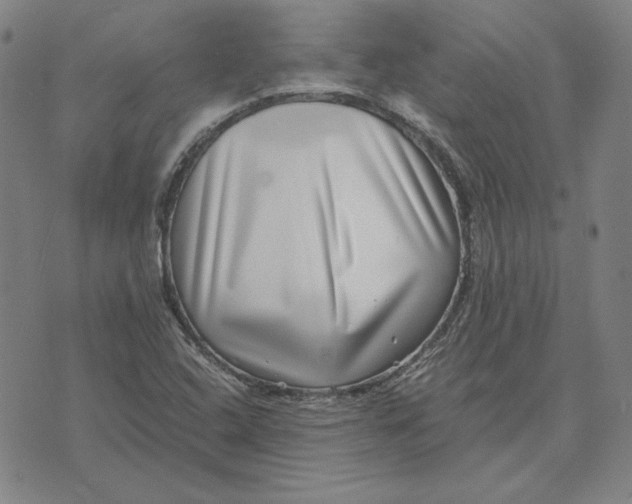 X0000071811408200607211700