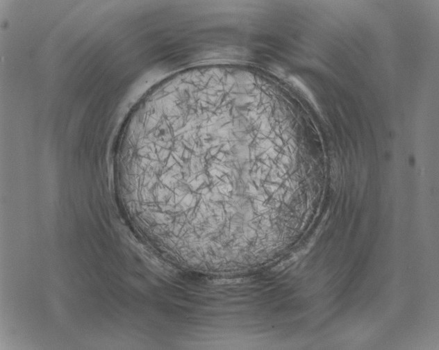 X0000071811419200607211700