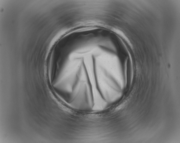 X0000071811424200607211700