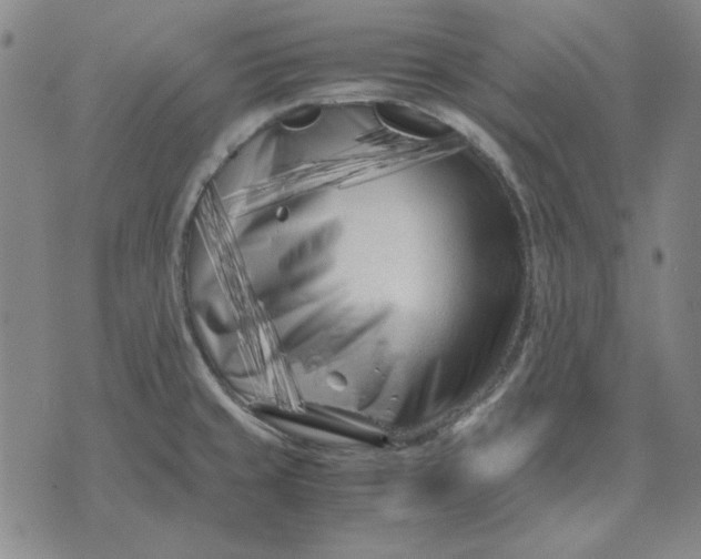 X0000071811429200607211700