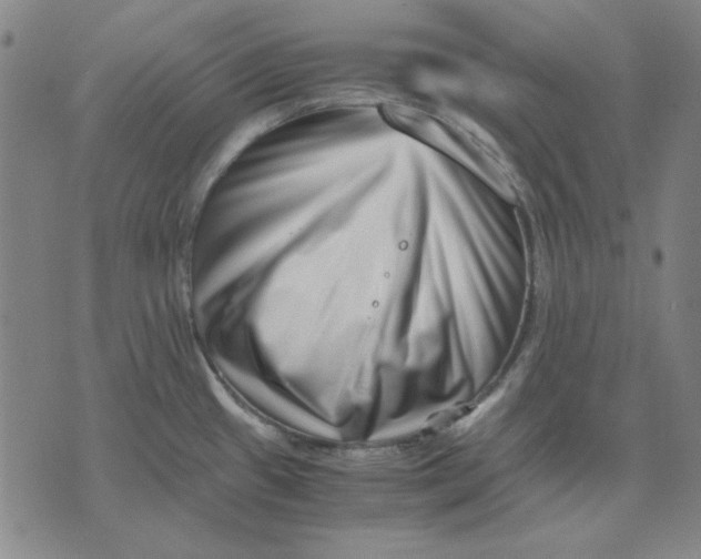 X0000071811433200607211701