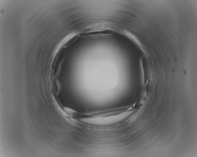 X0000071811434200607211701