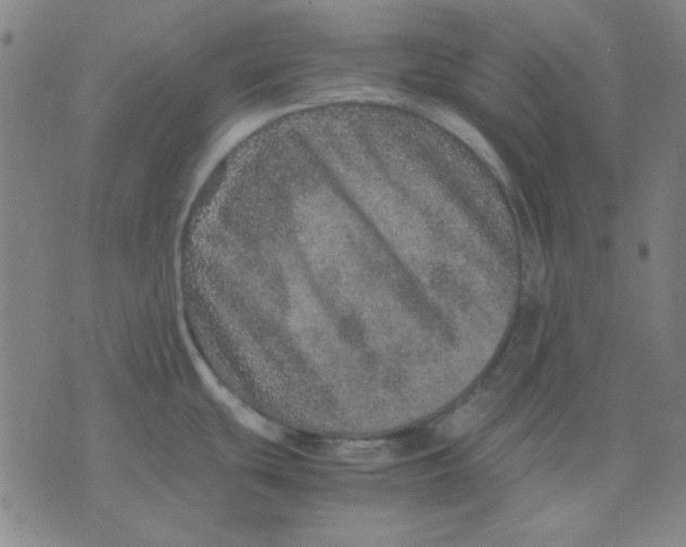 X0000071811439200607211701