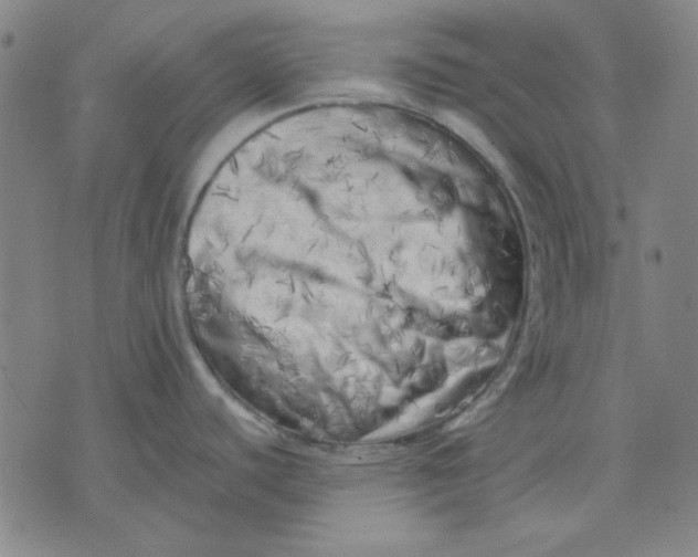 X0000071811440200607211701