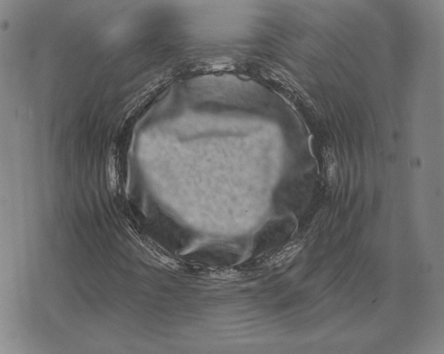 X0000071811442200607211700