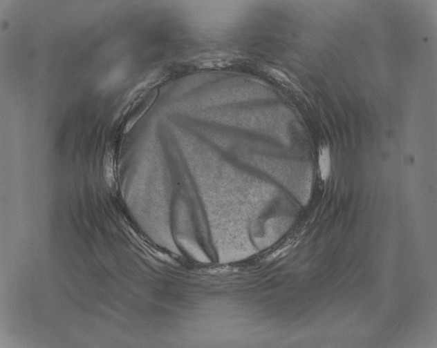 X0000071811444200607211700