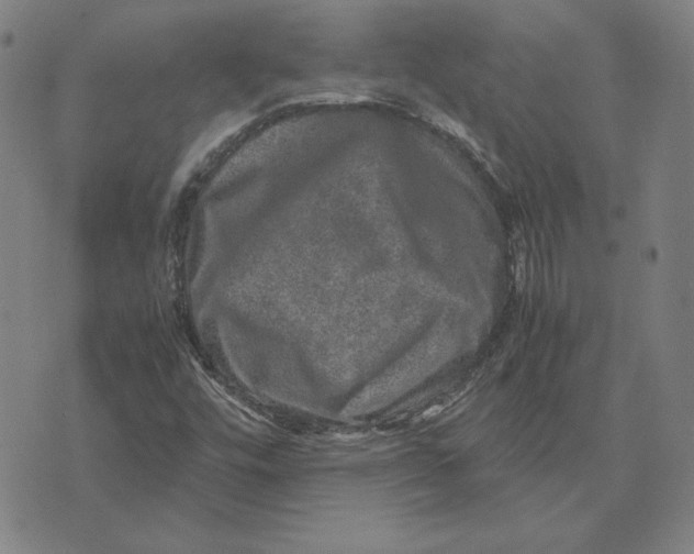 X0000071811448200607211700