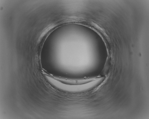 X0000071811453200607211700